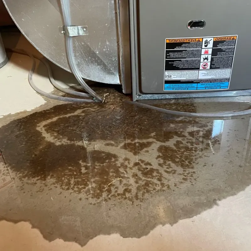 Pipe Burst and Leak Restoration in Womelsdorf, PA